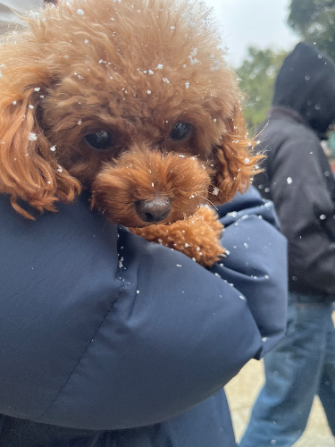 サカイ先生の顔写真